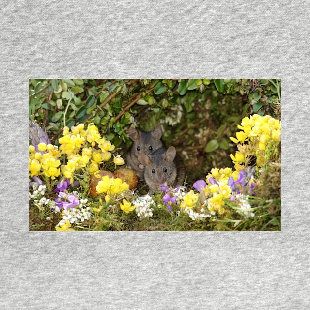 pair of wild mice spring flowers by Simon-dell